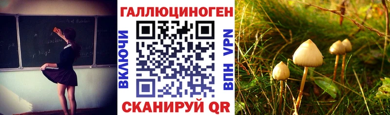 Псилоцибиновые грибы Magic Shrooms  купить наркоту  Шумиха 